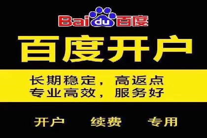 企业SEM竞价代运营效果显著案例